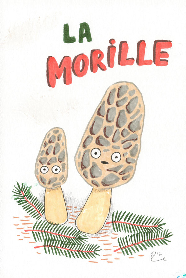 La morille | Original